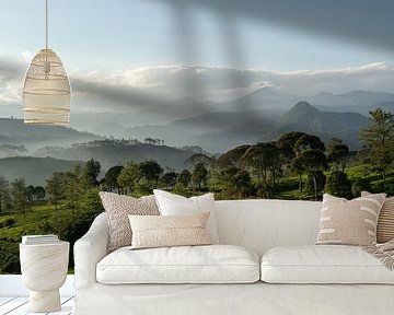 Tea plantation Indonesia by Ellis Peeters