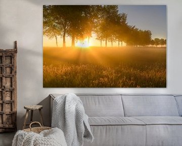 Sonnenaufgang am frühen Morgen während eines schönen Frühlingstages über dem Zwartendijk bei Kampen von Sjoerd van der Wal Fotografie