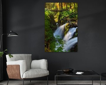 Sol Duc Falls, Washington State, USA van Henk Meijer Photography