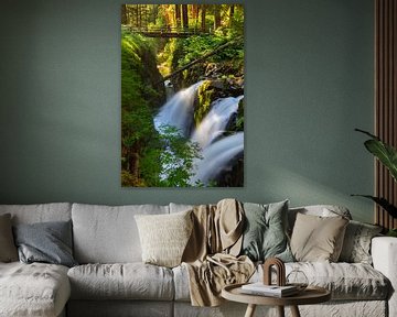 Sol Duc Falls, Bundesstaat Washington, USA von Henk Meijer Photography