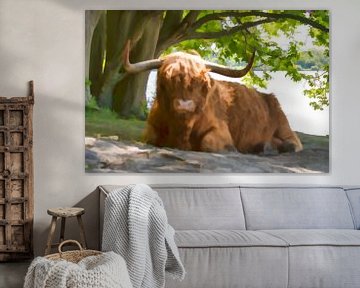 Highland Cow by Peter Bartelings