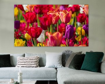 Bloeiende Tulpen van Beeld Creaties Ed Steenhoek | Fotografie en Kunstmatige Beelden