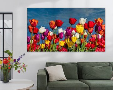 Bloeiende Tulpen van Ed Steenhoek
