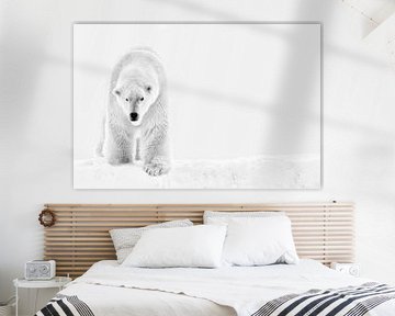ours polaire dans la neige.