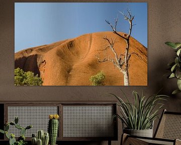 Uluru