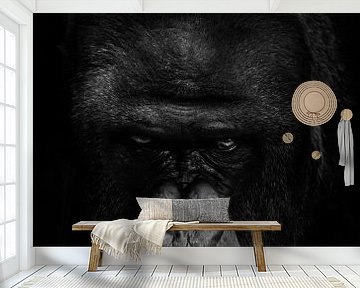De dreigende snuit van het woeste, dominante gorilla mannetje, een strenge blik vormt een gevaar voo van Michael Semenov