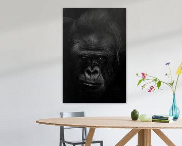 De dreigende snuit van het woeste, dominante gorilla mannetje, een strenge blik vormt een gevaar voo van Michael Semenov