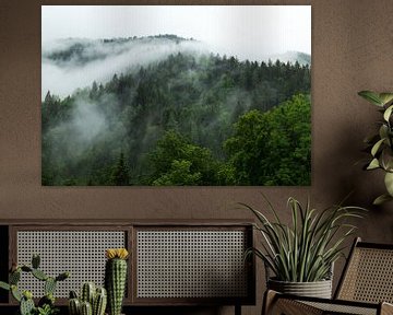 Paysage forestier avec rivière de brouillard sur Oliver Henze