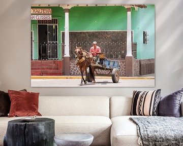 Paard en wagen - Granada van Frank Smetsers
