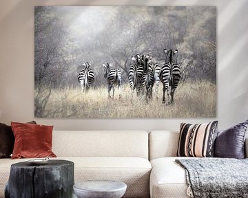 Zebra by Nynke van Holten