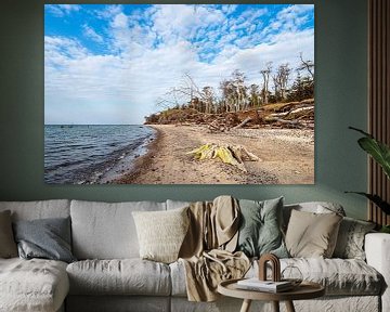 Landschaft an der Küste der Ostsee in Graal-Müritz von Rico Ködder