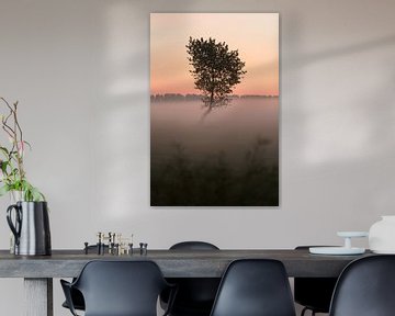 Der kleine Baum im Nebel von Mirac Karacam