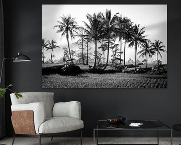 Palmbomen op een rijstveld van Ellis Peeters