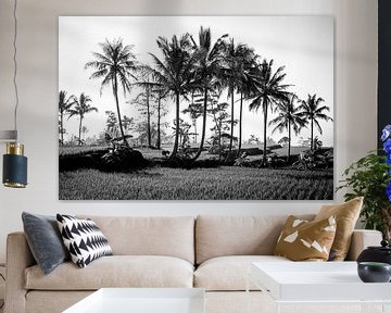 Palmbomen op een rijstveld van Ellis Peeters