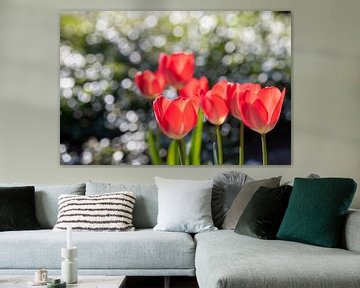 Rode tulpen met bokeh van druppels op groene bladeren van Tonko Oosterink