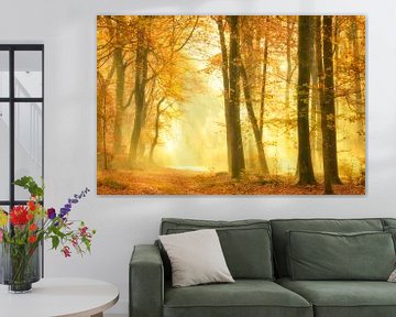 Pad door een mistig Speulderbos tijdens een mooie mistige herfstdag van Sjoerd van der Wal Fotografie