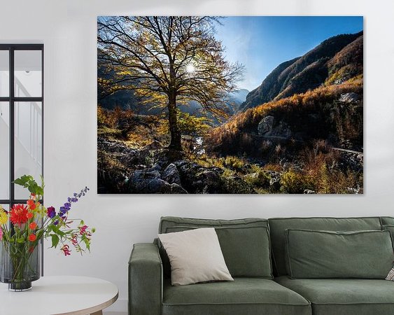 Aperçu de la chambre