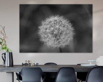 Make a wish... by Foto van Joyce
