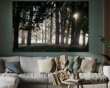 De rust van een bos in nevel en opkomende zon van Affect Fotografie