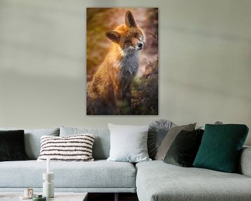 Rode vos met verrassende blik van Björn van den Berg