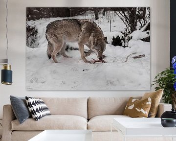 Een vrouwelijke wolf tegen een achtergrond van sneeuw met een bot knabbelt aan een bot, een roofdier van Michael Semenov
