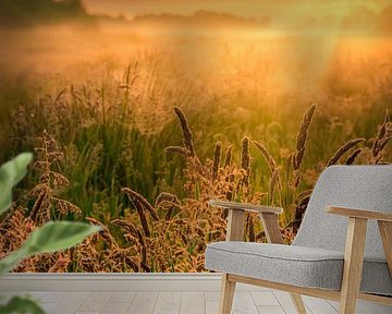 Sunrise above De Weerribben-Wieden National Park on a beautiful misty spring morning by Bas Meelker