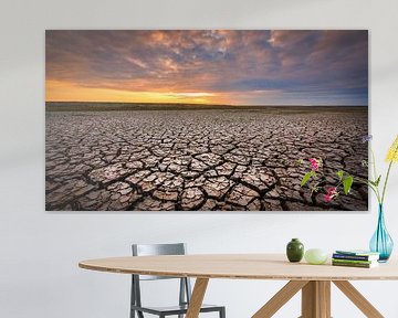 Drought on the Groningen Wadden coast during sunset by Bas Meelker