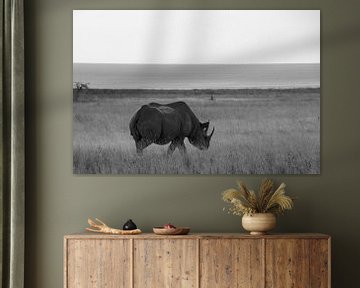 Rhinoceros on the savannah in africa by Discover Dutch Nature