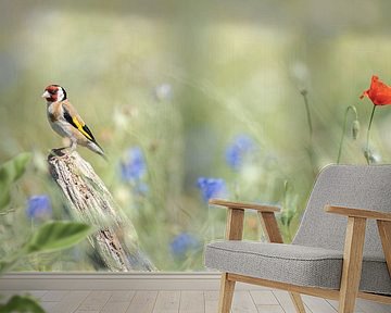 Red Accent by Alex Pansier