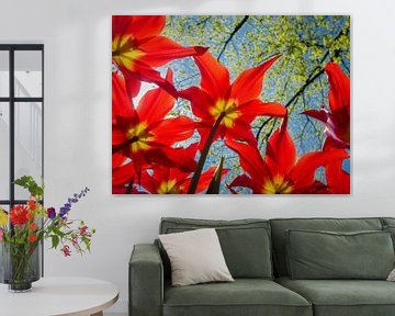 Rote Tulpen von Peet Romijn