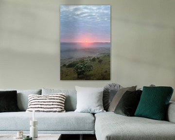 Sonnenaufgang über den Dünen mit blühendem Weißdorn, vertikal von Menno van Duijn