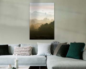 Zwanen boven duinen met mist, verticaal van Menno van Duijn