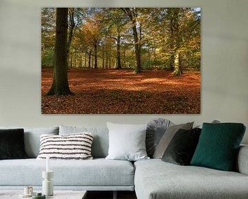 Herfst bos met open structuur van FotoBob