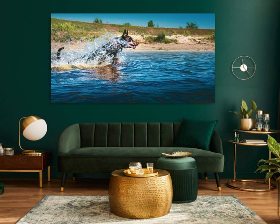 Aperçu de la chambre