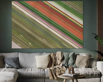 Colourful diagonal lines of flower bulb fields by Robert Riewald