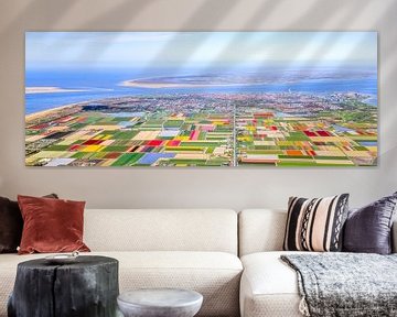 Panorama bloembollen Texel en Noord-Holland
