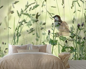 Sparrow in the grass by René Vos