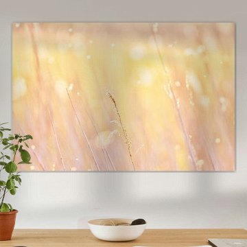 Riet, pastel kleuren