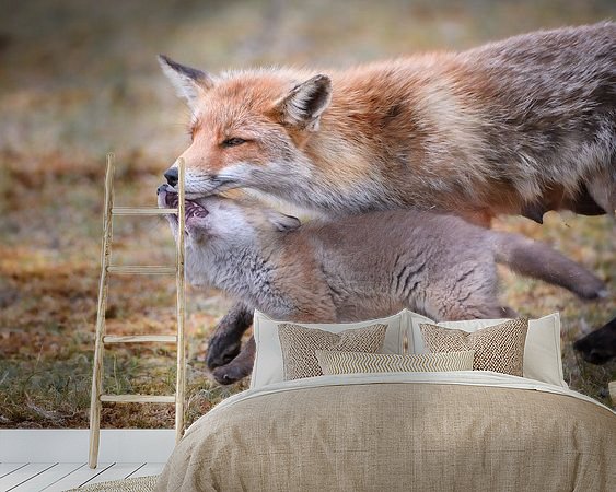 Aperçu de la chambre