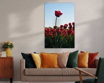 Rode tulpen van Tanja Huizinga Photography