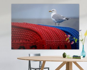 Moewe auf blauen und roten Strandkörbe am Wattenmeer! von Alice Berkien-van Mil