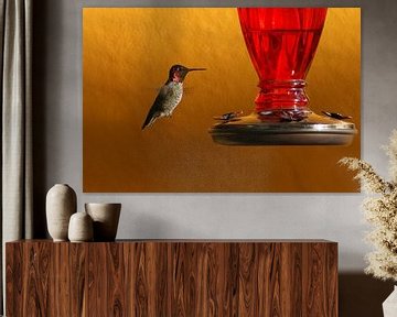 Hummingbird hangs still in the air by Jeroen van Deel