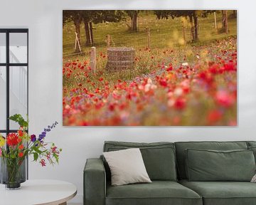 Poppies by Nancy van Verseveld