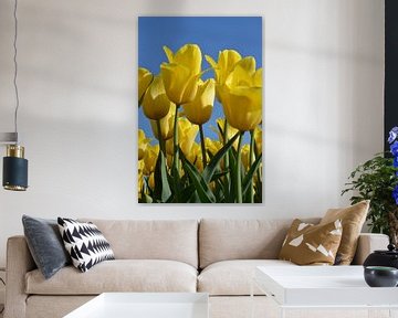 Gele tulpen van Tanja Huizinga Photography