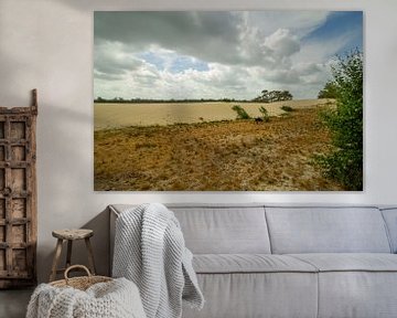 Loonse en drunense duinen met zon door de wolken van Marco Leeggangers