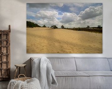 Die Sanddünen und die Heide an einem bewölkten Tag von Marco Leeggangers