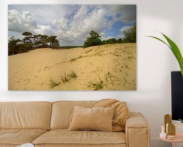 Sanddünen und Bäume mit bewölktem Himmel im Frühling von Marco Leeggangers