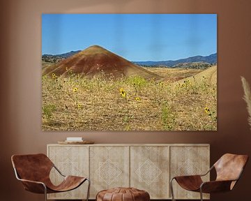 Flowers at the Painted Hills, Oregon van Jeroen van Deel