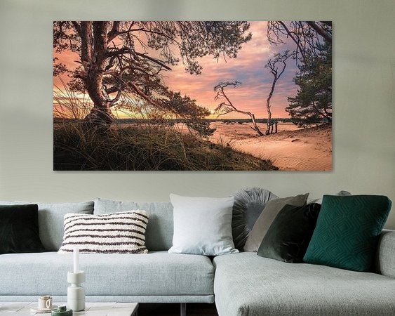 Aperçu de la chambre