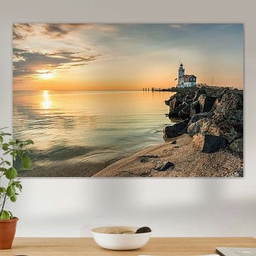 Le cheval de Marken sous un beau soleil